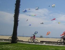 Flying kyte kid on bike at beach